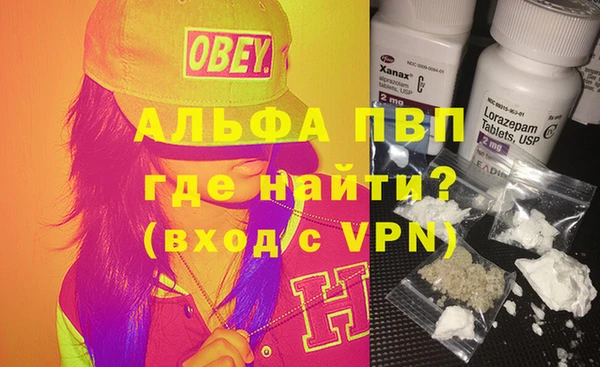 метадон Богданович