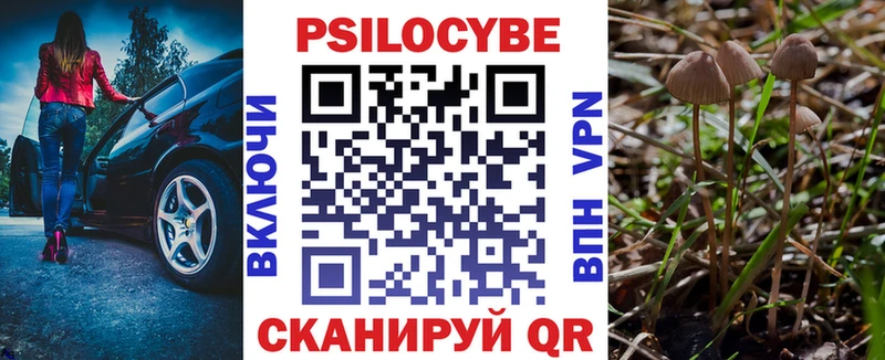 Галлюциногенные грибы прущие грибы  Верхотурье 